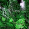 Satelitní fotografie Bielowiežského pralesa