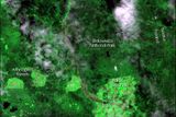 Satelitní fotografie Bielowiežského pralesa.