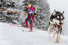 Nová nejdelší sjezdovka v Česku i lyžování se psy. Kam vyrazit za zimními radovánkami