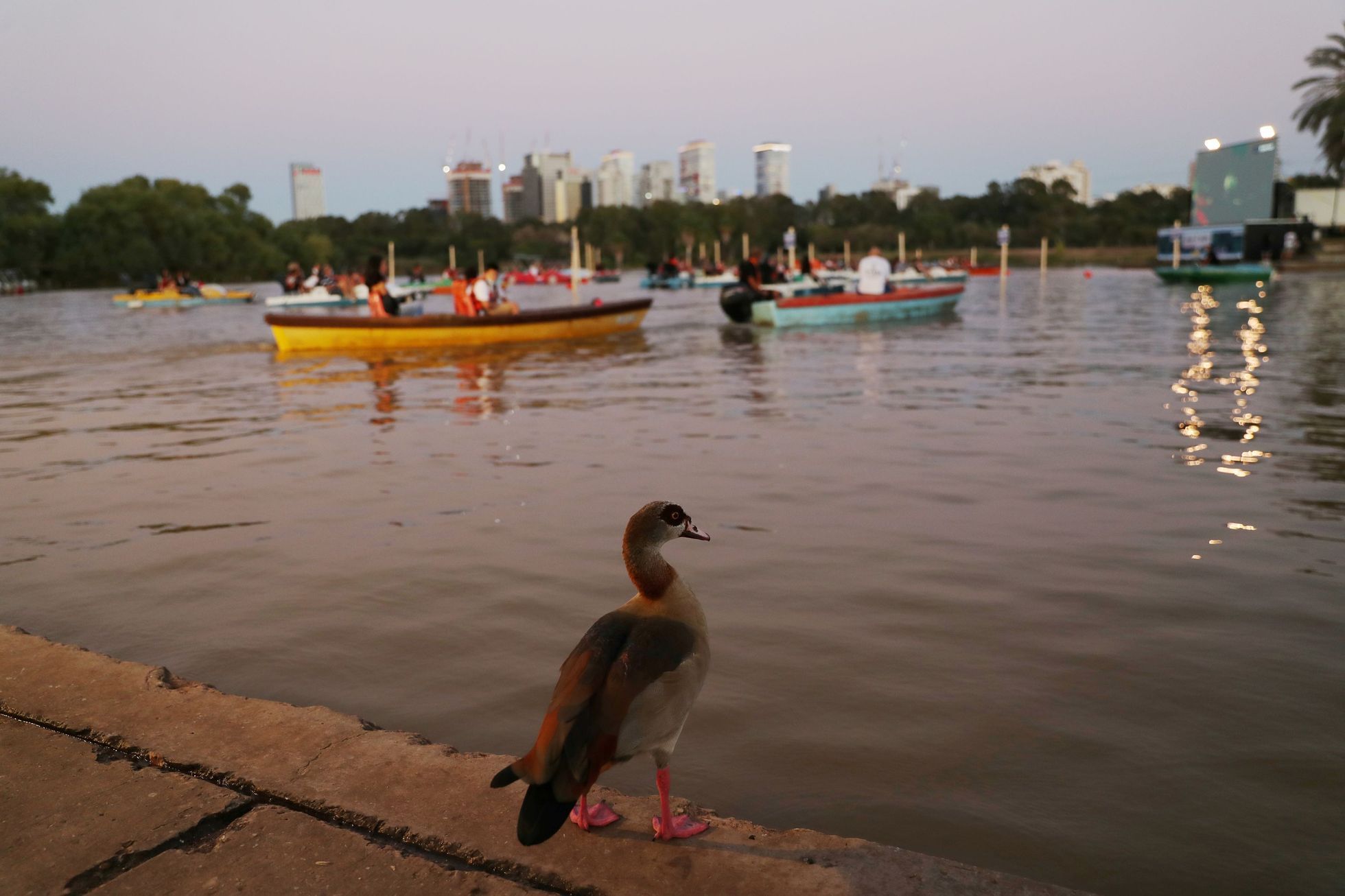 Plovoucí kino, Tel Aviv