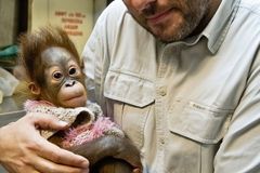 Favorit na šéfa zoo: Chci víc přiblížit život zvířat