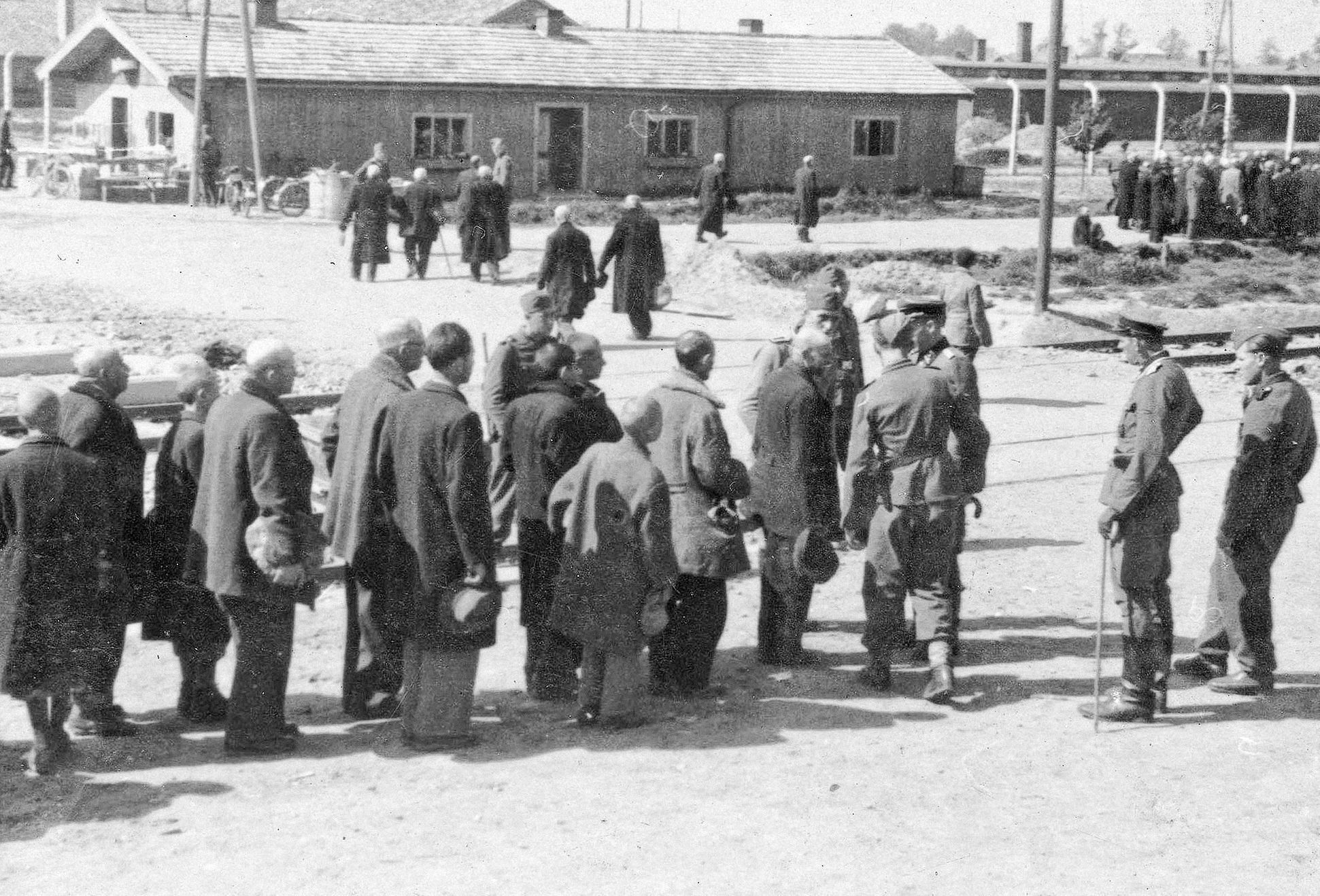 Jednorázové použití / Fotogalerie / Uběhlo 80 let od osvobození koncentračního tábora smrti v Osvětimi / TV