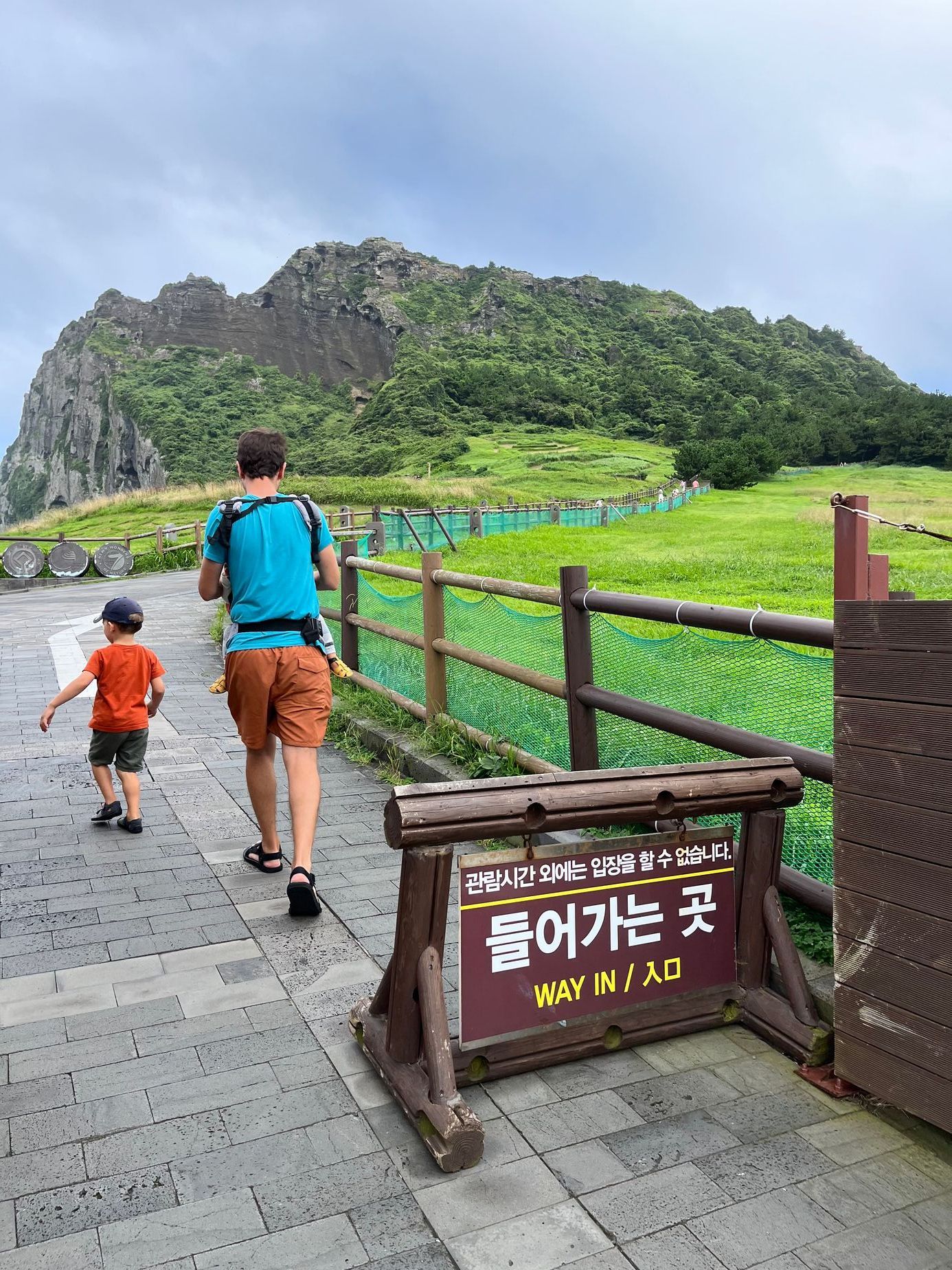 tereza schindlerova, cestuj za babku