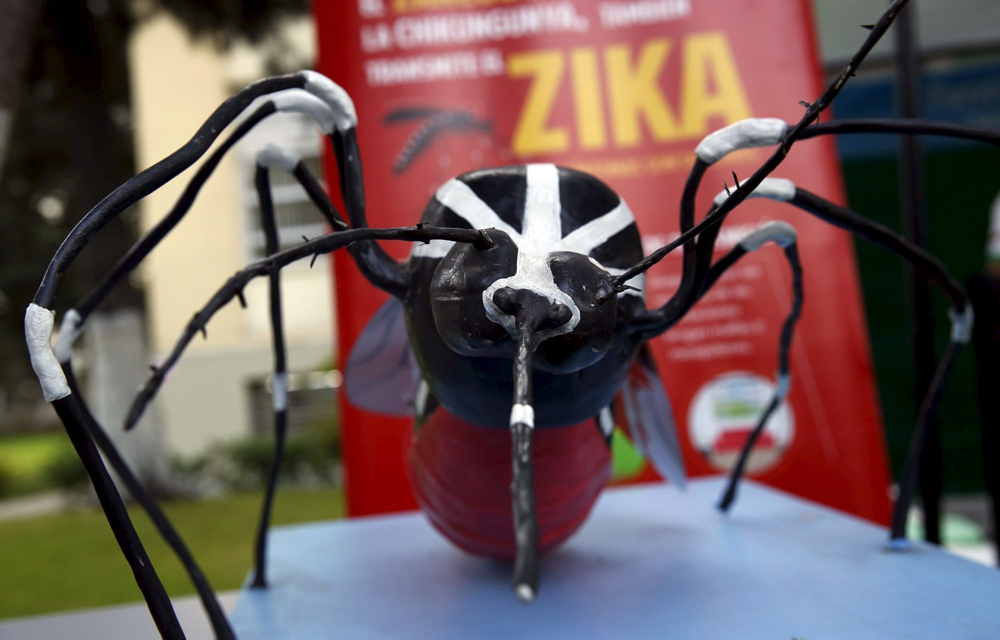 Zika virus v jižní Americe