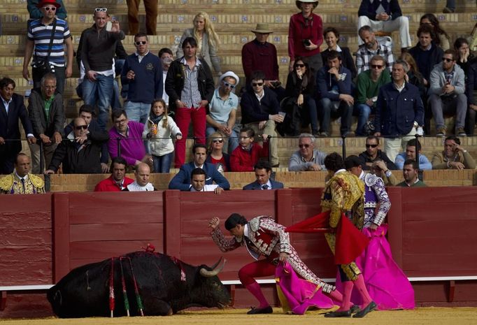 Spanish assistant bullfighter Juan M. Raya gives the "coup de grace" with a dagger to a bull during a bullfight in Seville