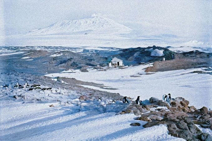 Shackletonova chata (uprostřed) v Antarktidě s tučňáky v popředí a horou Erebus v pozadí. Rok 1911, kolorováno