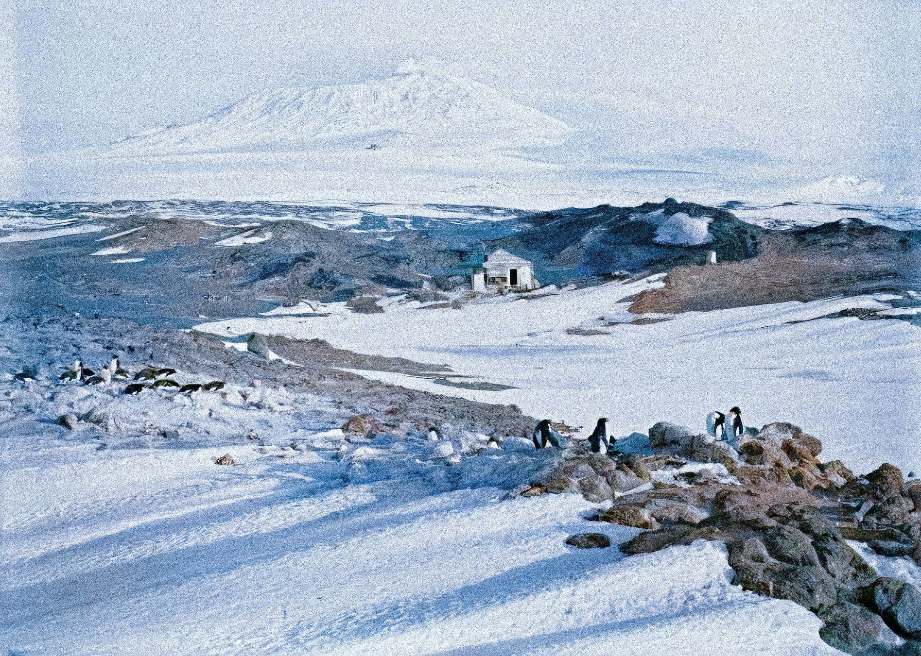 Ernest Shackleton, badatel, historie, polární kruh, Jižní pól, Zahraničí