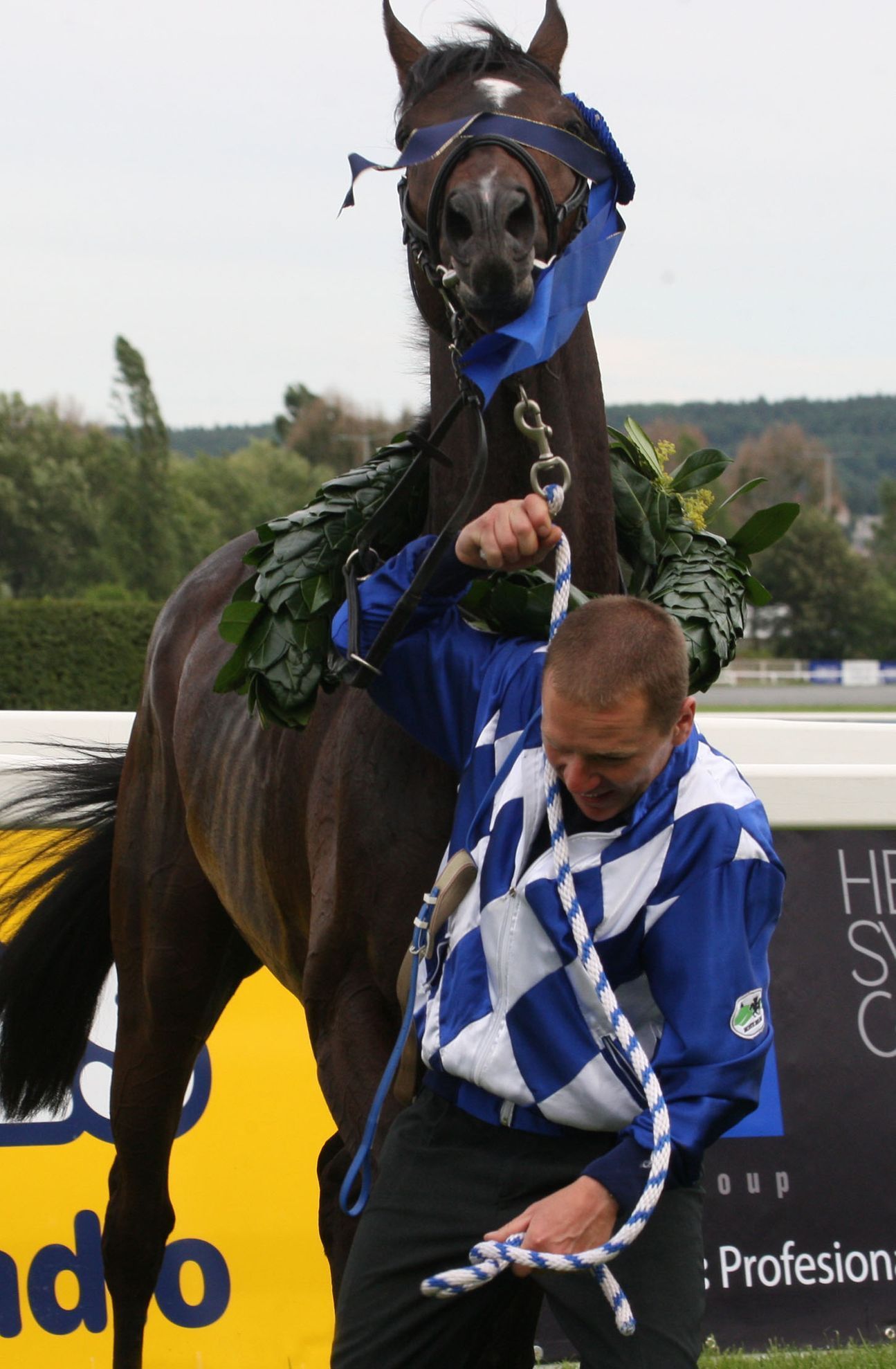 Kadyny na pražské Velké Chuchli 2012