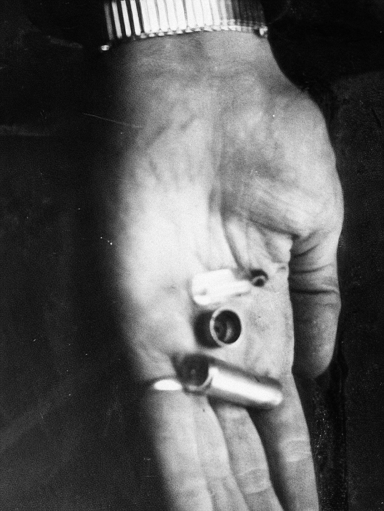 Jednorázové užití / Fotogalerie / 75 let od sebevraždy HH / Bund