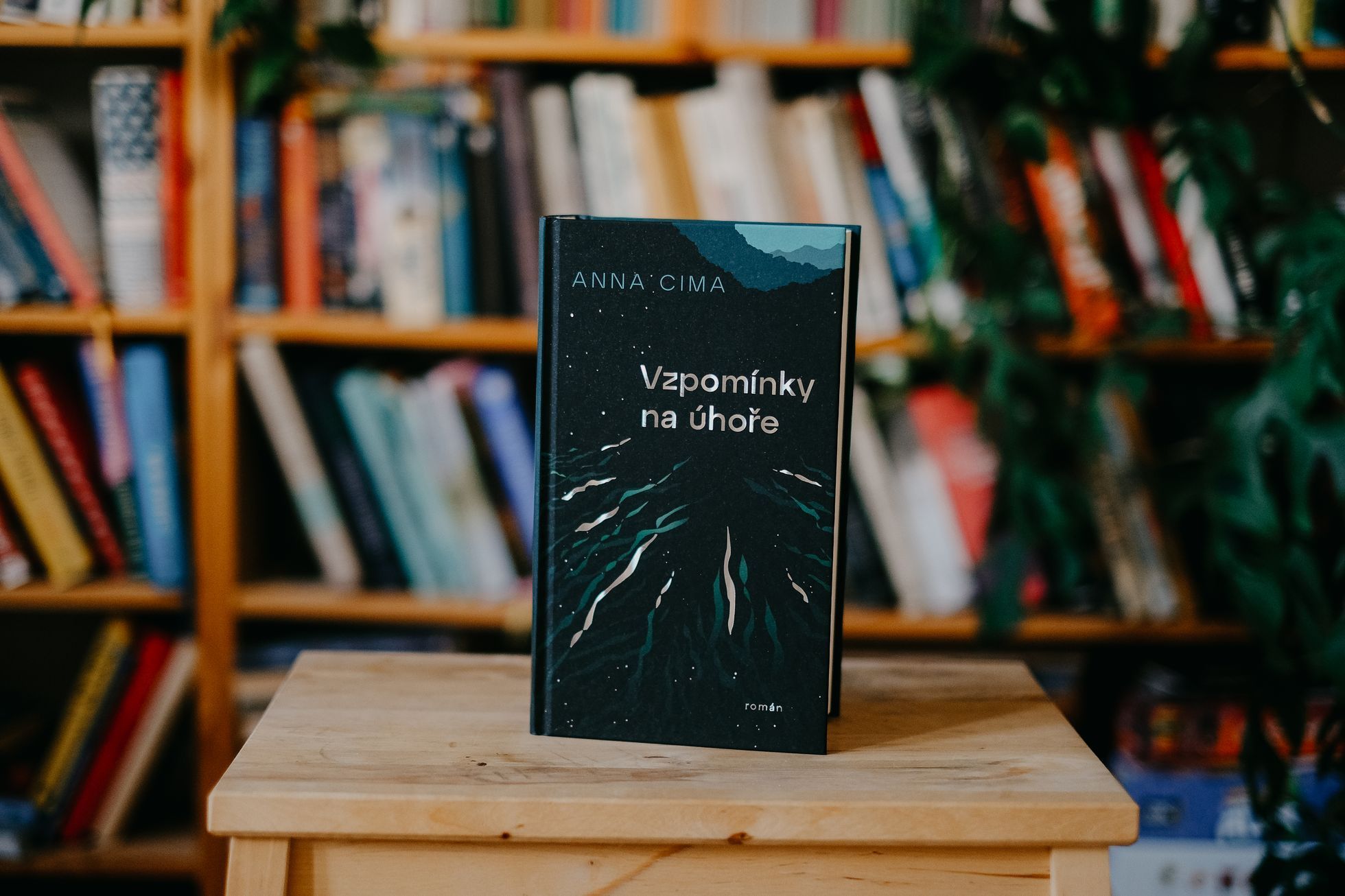 knihy spisovatelky Anny Cimy, Probudím se na Šibuji a Vzpomínky na úhoře