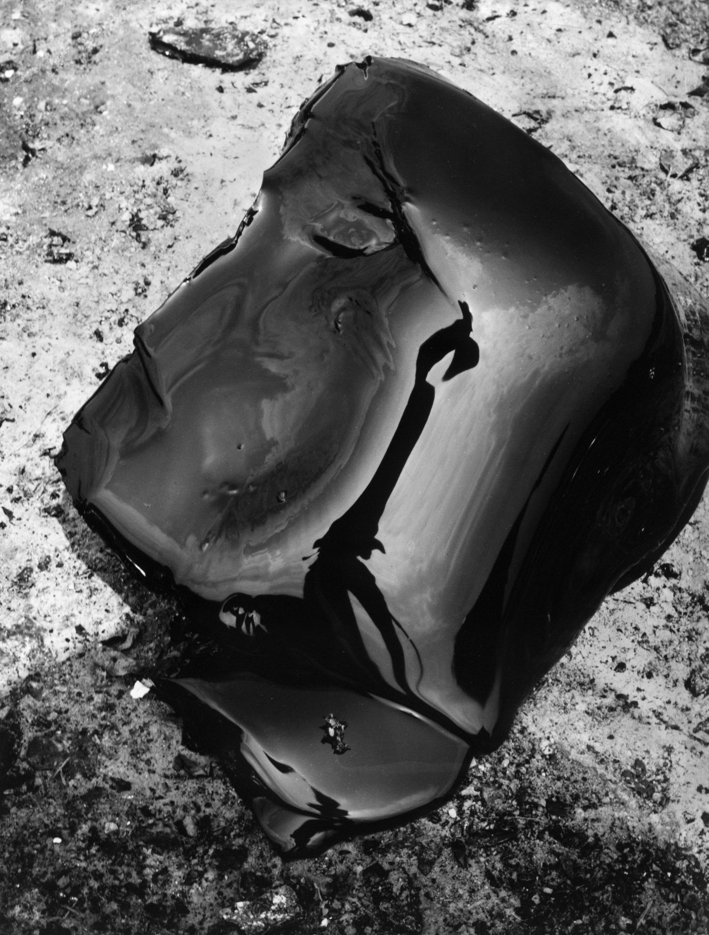 Výstava: Vilém Reichmann. Každá věc je počátkem básně, Vilém Reichmann, fotograf, výstava, Brno, Foto, Magazín