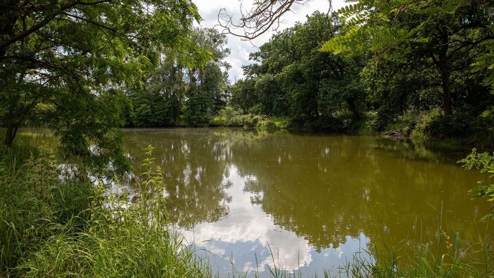 Soutok, který vadí Macinkovi. Ústavní soud posvětil vznik CHKO