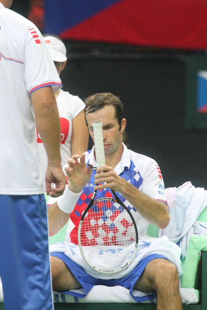 Finále Davis Cupu, zápas Radek Štěpánek - David Ferrer