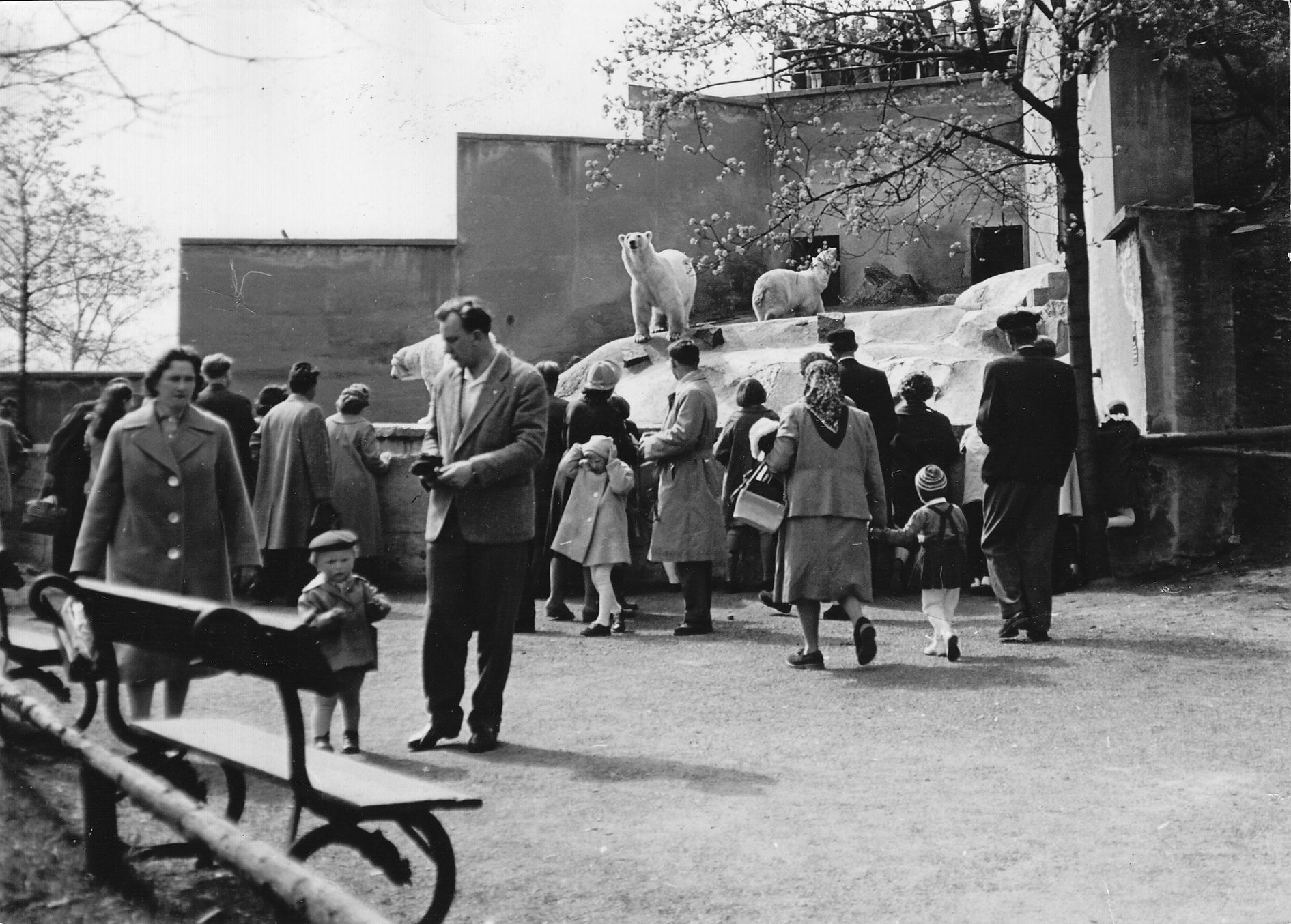 Rozvoj areálu ZOO Praha