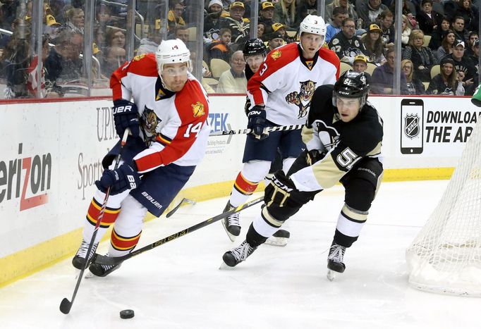 Tomáš Fleischmann (Florida Panthers) a Derrick Pouliot (Pittsburgh Penguins) v NHL 2014-15