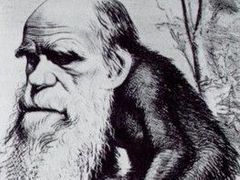 Darwinova teorie.