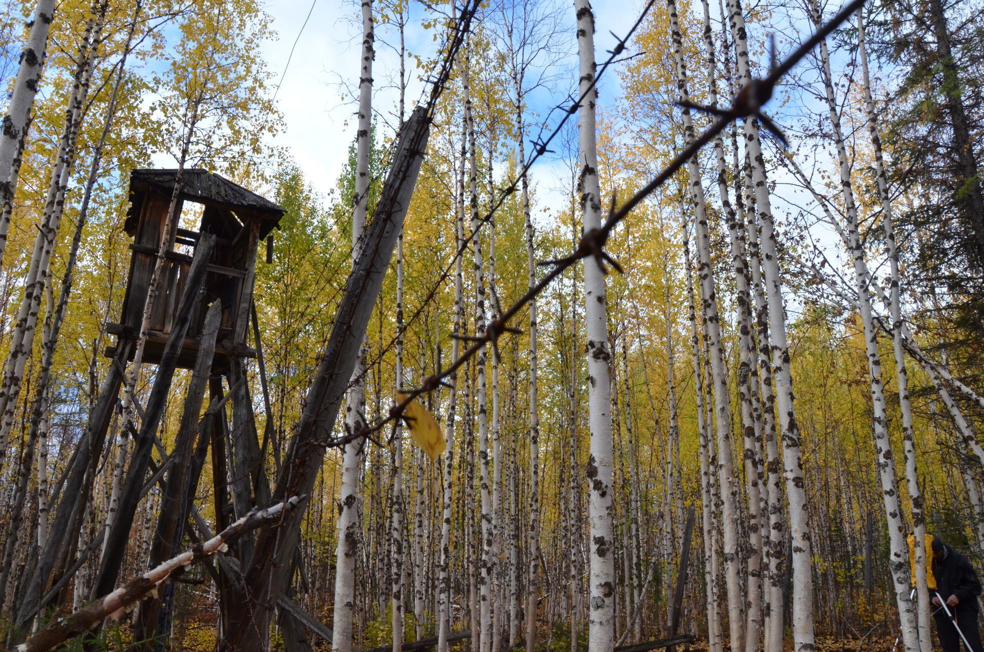 Gulag.cz, Štěpán Černoušek