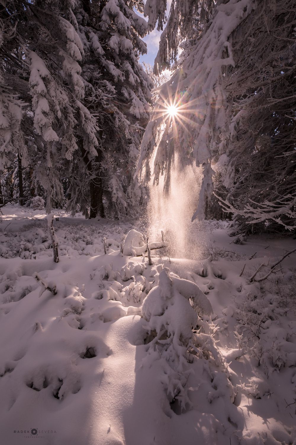 Radek Severa - zimní Jeseníky