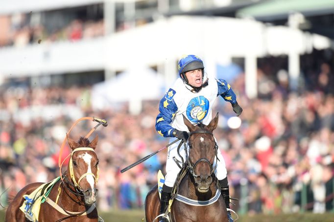 Velká Pardubice 2015: vítěz Marek Stromský na koni Nikasovi