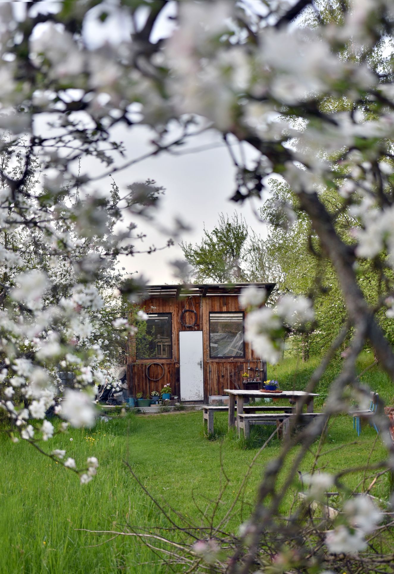 domeček na kopci, dům, rekonstrukce, zahrada, příběh