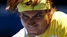 Australian Open: David Ferrer