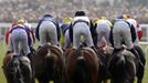 Riders compete in the Diamond Jubilee National Hunt Steeple Chase at the Cheltenham Festival horse racing meet in Gloucestershire, western England March 14, 2012.