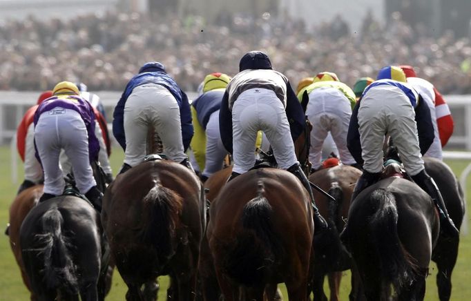 Riders compete in the Diamond Jubilee National Hunt Steeple Chase at the Cheltenham Festival horse racing meet in Gloucestershire, western England March 14, 2012.