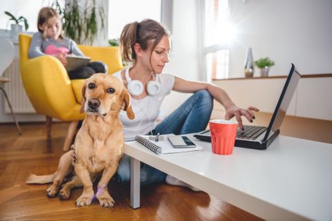 Předtím za peníze, teď zadarmo: 14 tipů na online kurzy, přednášky a zábavu