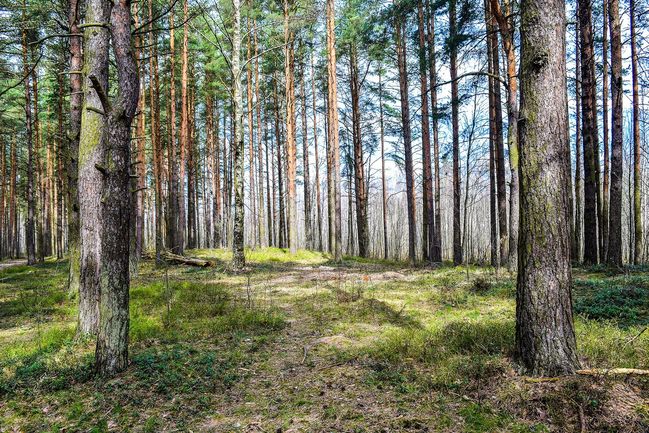 Málo času trávíte venku