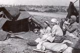 Život u Stalingradu, stalingardské pole, rok 1944.