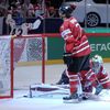Hokej, MS 2013, Česko - Kanada: Petr Koukal slaví gól na 1:1