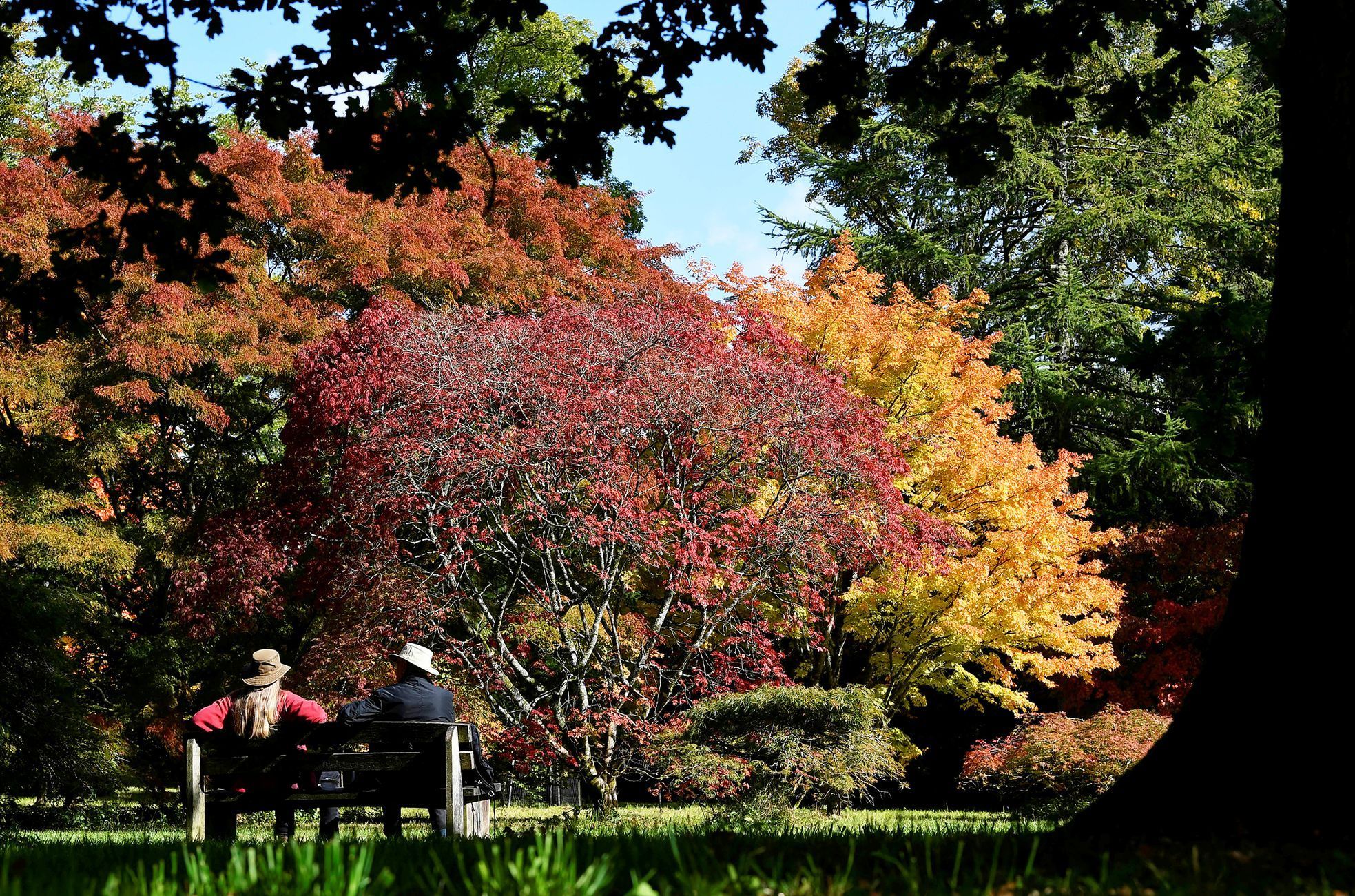 Jednorázové užití / Fotogalerie / Nechte se okouzlit krásami podzimu