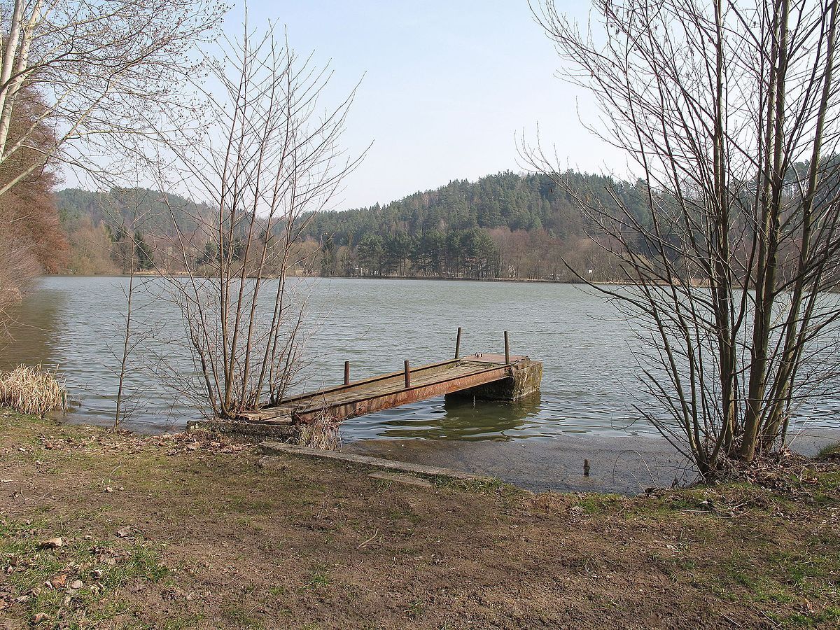 Rybník Borovice u Mukařova
