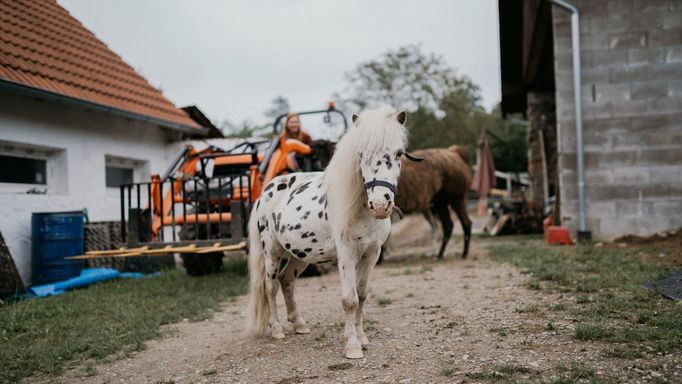 Johana Spáčilová a její stáj.