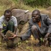 Vítězné snímky ze soutěže Environmental Photography Award 2024