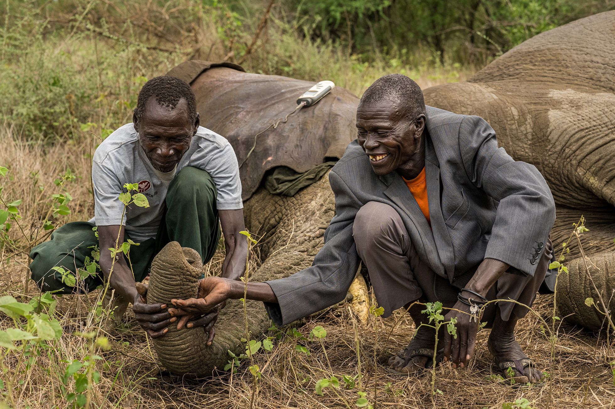 Vítězné snímky ze soutěže Environmental Photography Award 2024