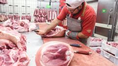 Hyperkmarket Globus - příprava masa, řeznictví, řezník Pavel Holeček