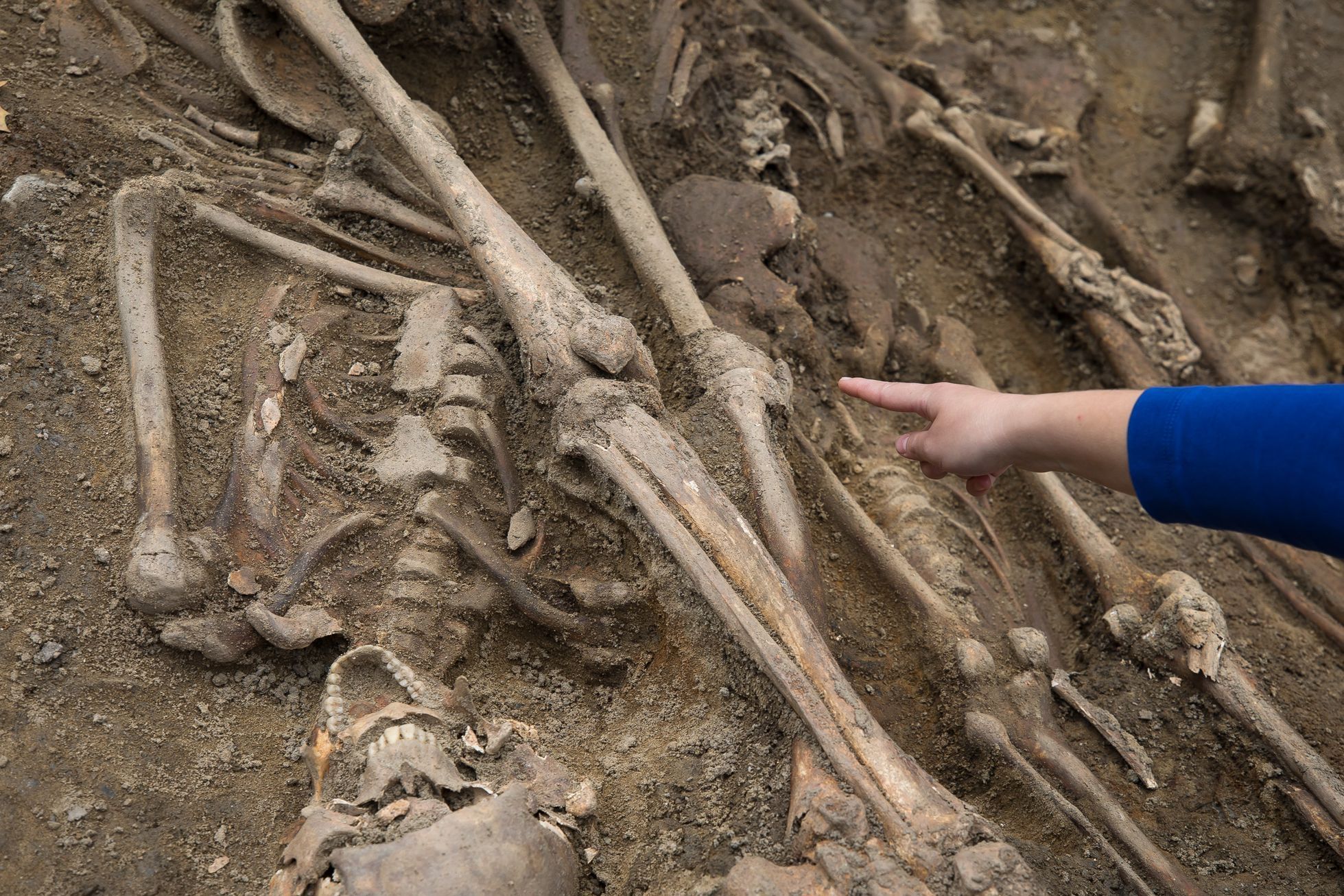 Archeologické vykopávky, Karlín, masový hrob, Vojenský hřbitov Karlín, kosti, archeologie, antropologie