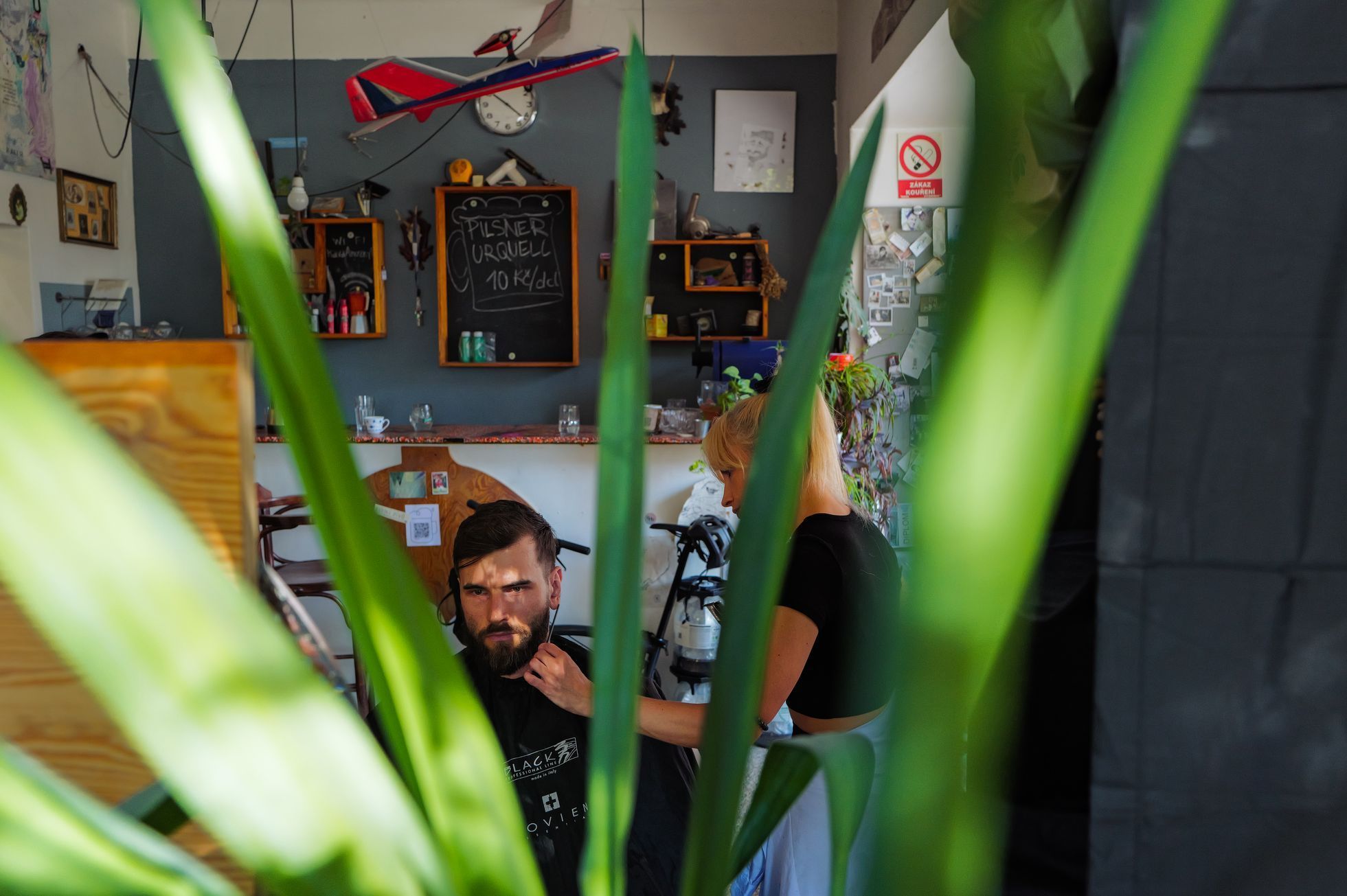 kabinet holicu, tom holic