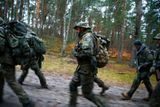 Zde jsou členové jedné z nich - SJS Strzelec - při cvičení v lesích poblíž Varšavy.