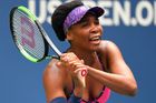 2. Venus Williamsová. Opět žádné překvapení. Druhá je starší sestra Sereny. Držitelka sedmi grandslamových trofejí (z toho pěti z Wimbledonu) ovšem vydělala dvakrát méně. Něco přes 41 milionů dolarů.