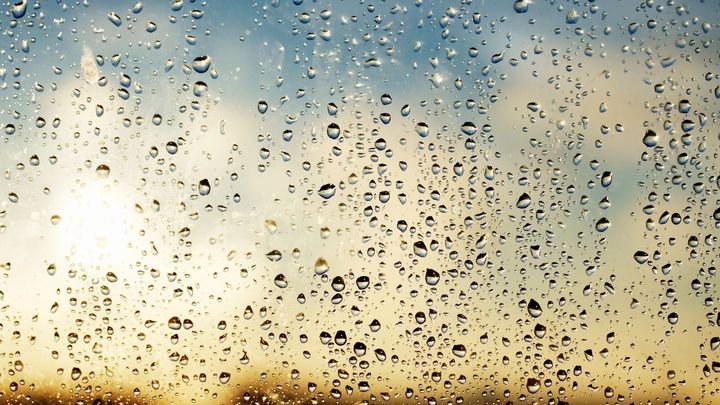 Teplý začátek astronomické zimy. Padaly teplotní rekordy, bylo skoro až 14 stupňů