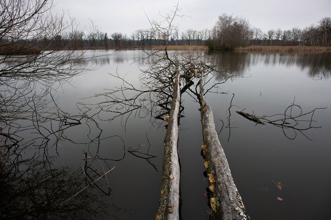 Průřez tvorbou fotografa Týdeníku Respekt Matěje Stránského za rok 2020.