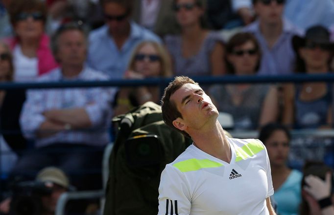 Britain's Andy Murray reacts during his match against Czech Republic's Radek Stepanek at the Queen's Club Championships in west London June 12, 2014. REUTERS/Suzanne Plun