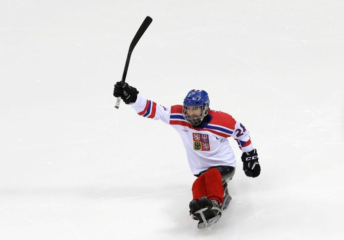 Paralympiáda v Pchjongčchangu 2018: Zdeněk Šafránek