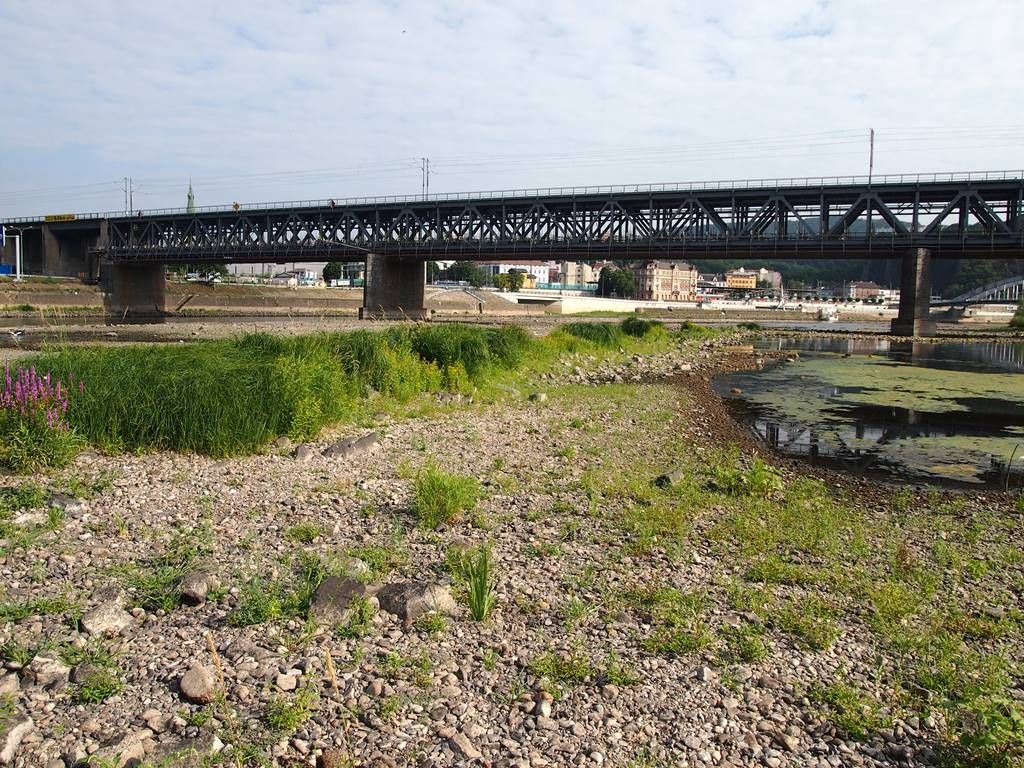 Sucho Labe v Ústí nad Labem 24. 7. 2015
