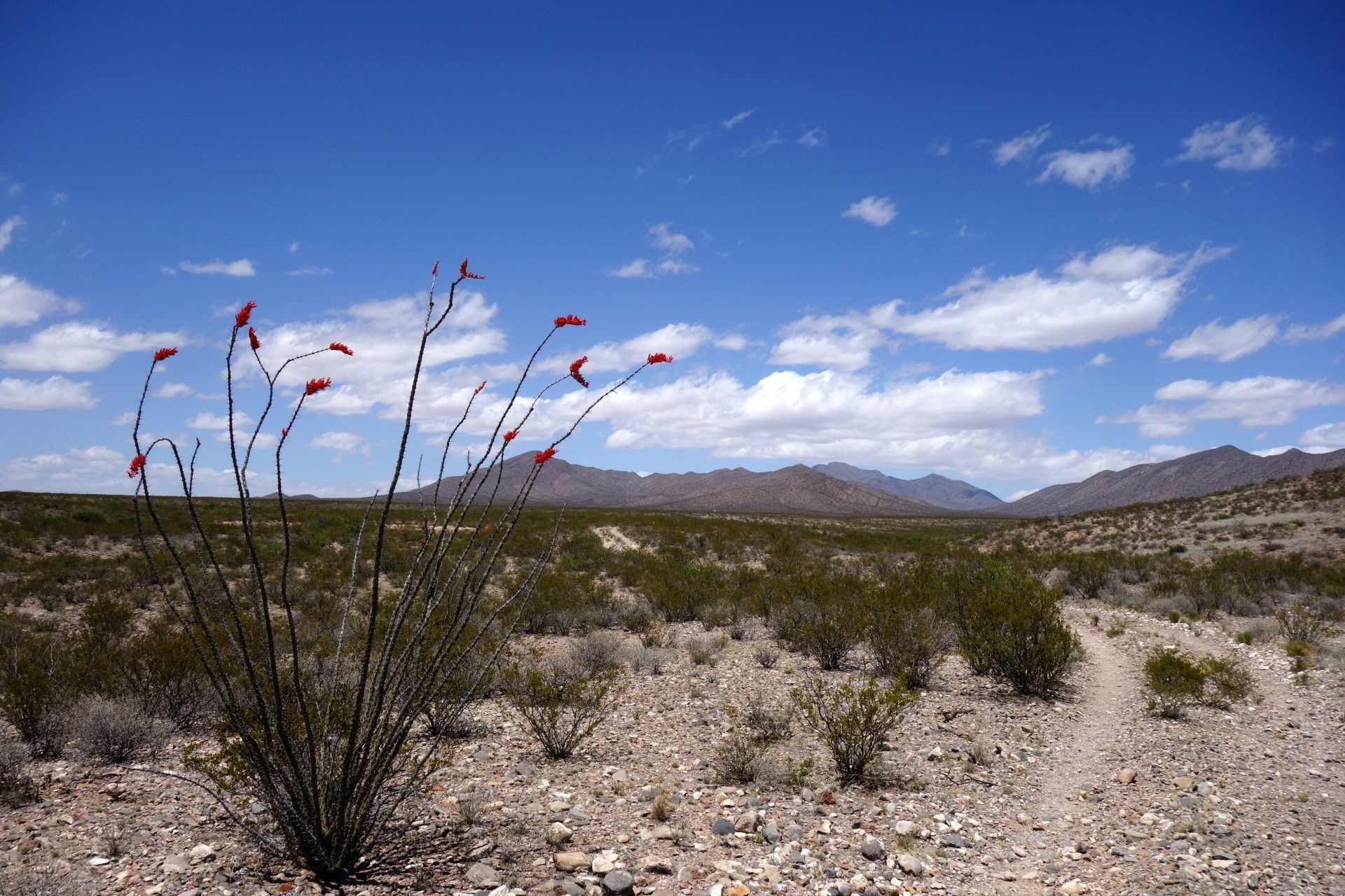 Petr Kosek, Continental Divide Trail, cestování, Amerika