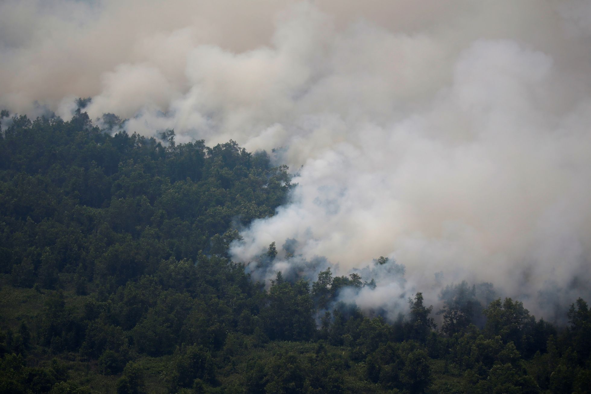 Požár v indonéském tropickém pralese / Září 2019