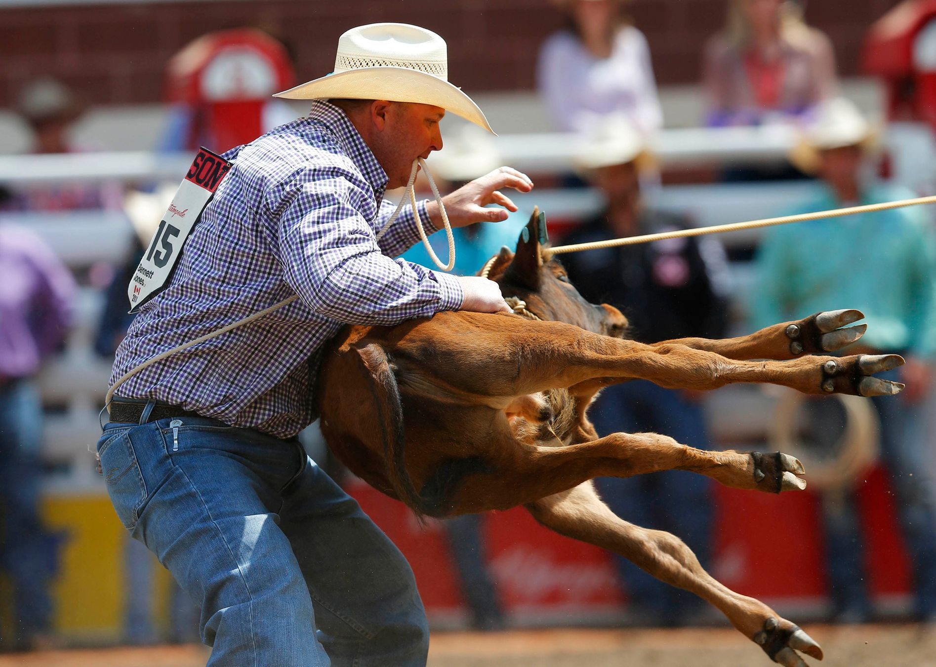 Rodeo v Calgary