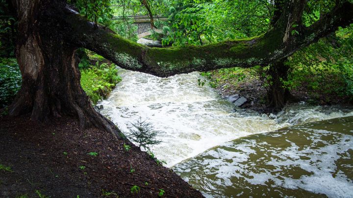 Bouřky rozvodnily některé toky. Brzy ráno platil povodňový stupeň asi na desítce míst; Zdroj foto: ČTK